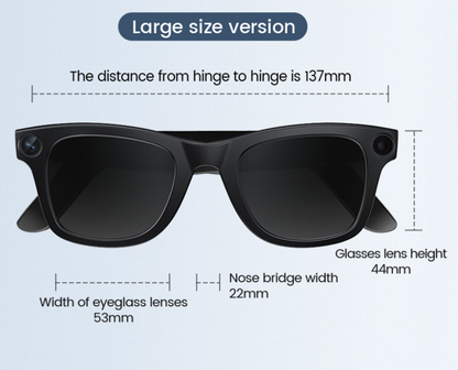 Gafas con IA integrada